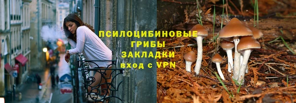 ALPHA PVP Алексин