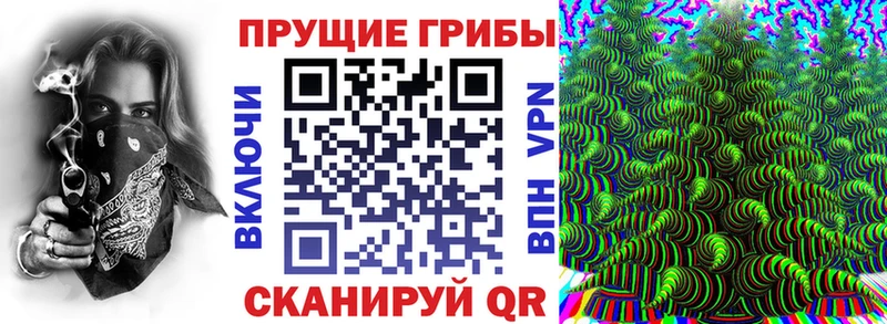 Галлюциногенные грибы Psilocybine cubensis  где купить наркоту  Йошкар-Ола 