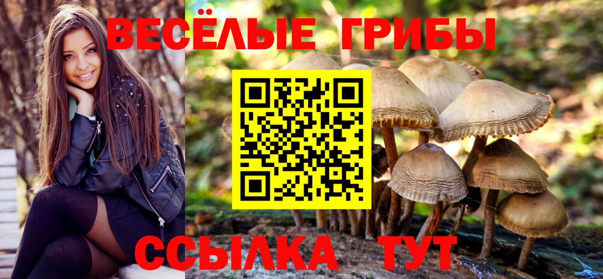 Псилоцибиновые грибы ЛСД  Вход с VPN  Йошкар-Ола 